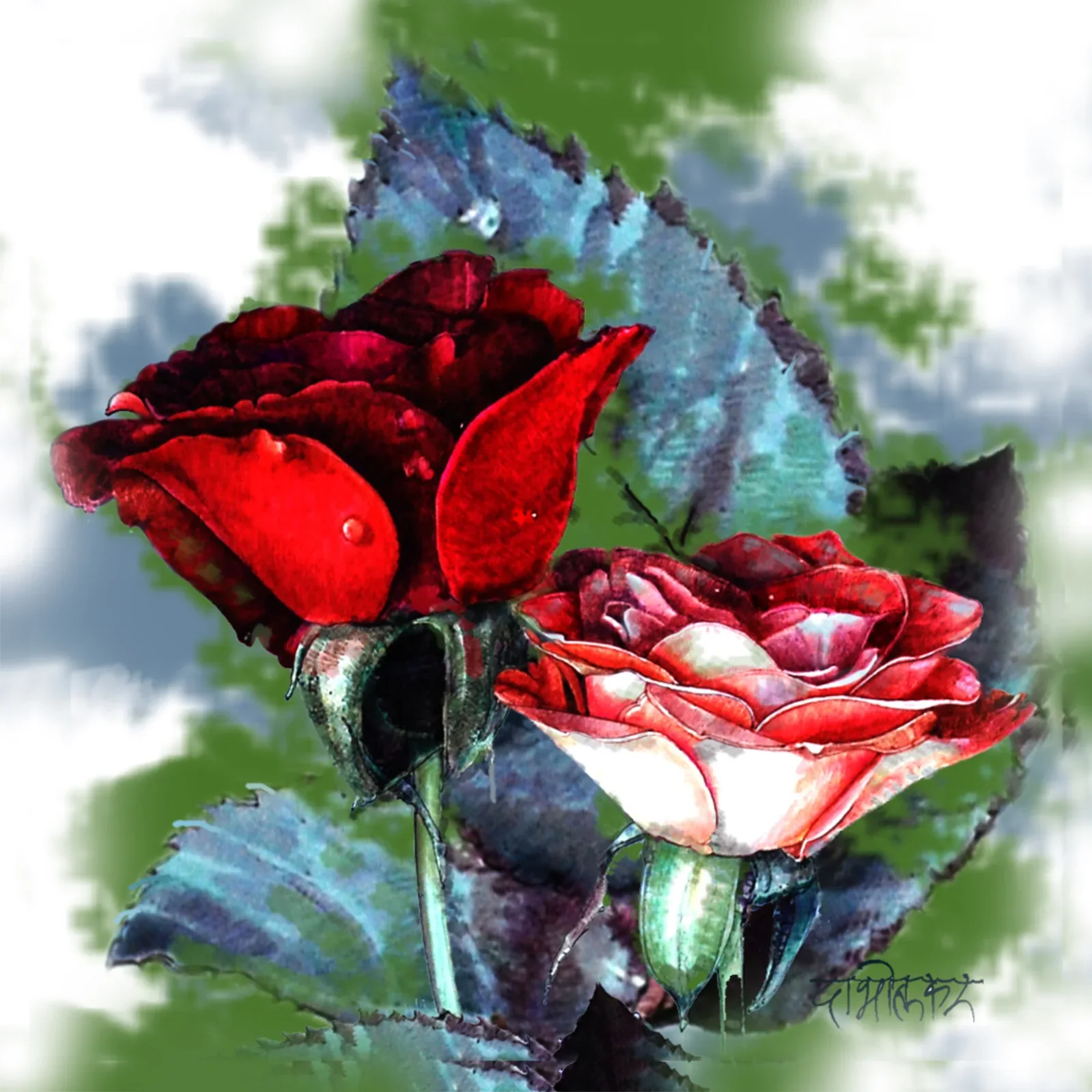 Rose flower by Arun Dabholkar