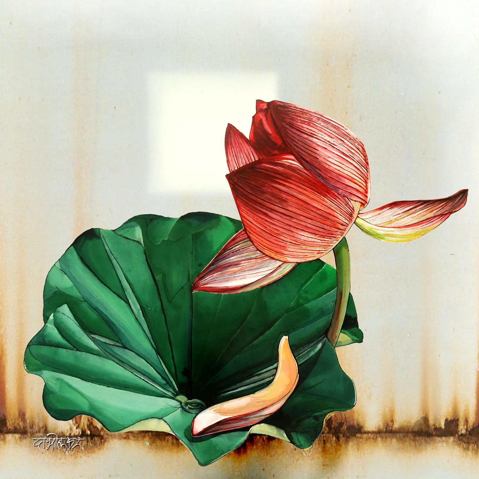 Lotus by Arun Dabholkar